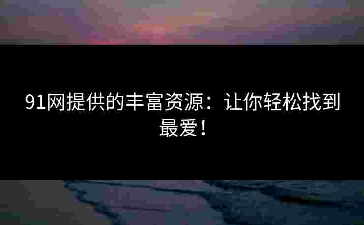 91网提供的丰富资源：让你轻松找到最爱！