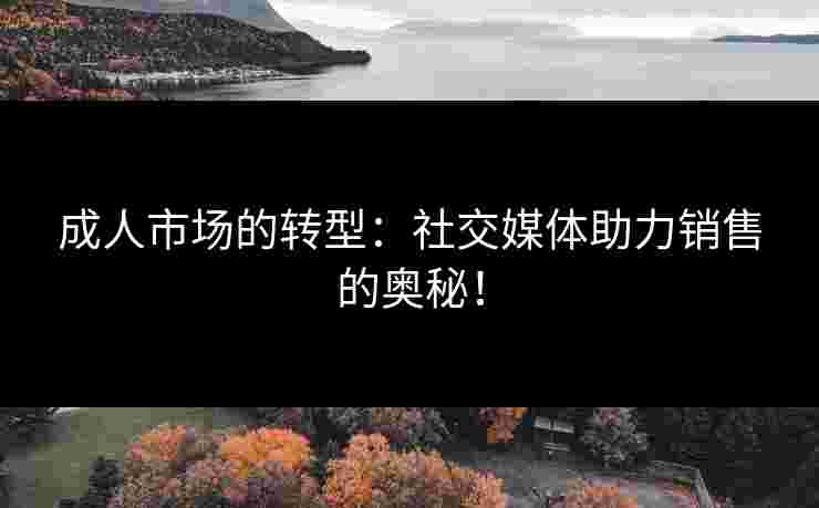 成人市场的转型：社交媒体助力销售的奥秘！